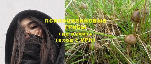mdpv Алзамай