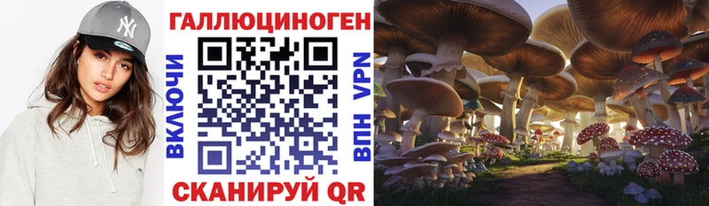 Псилоцибиновые грибы ЛСД  дарнет шоп  Железноводск 
