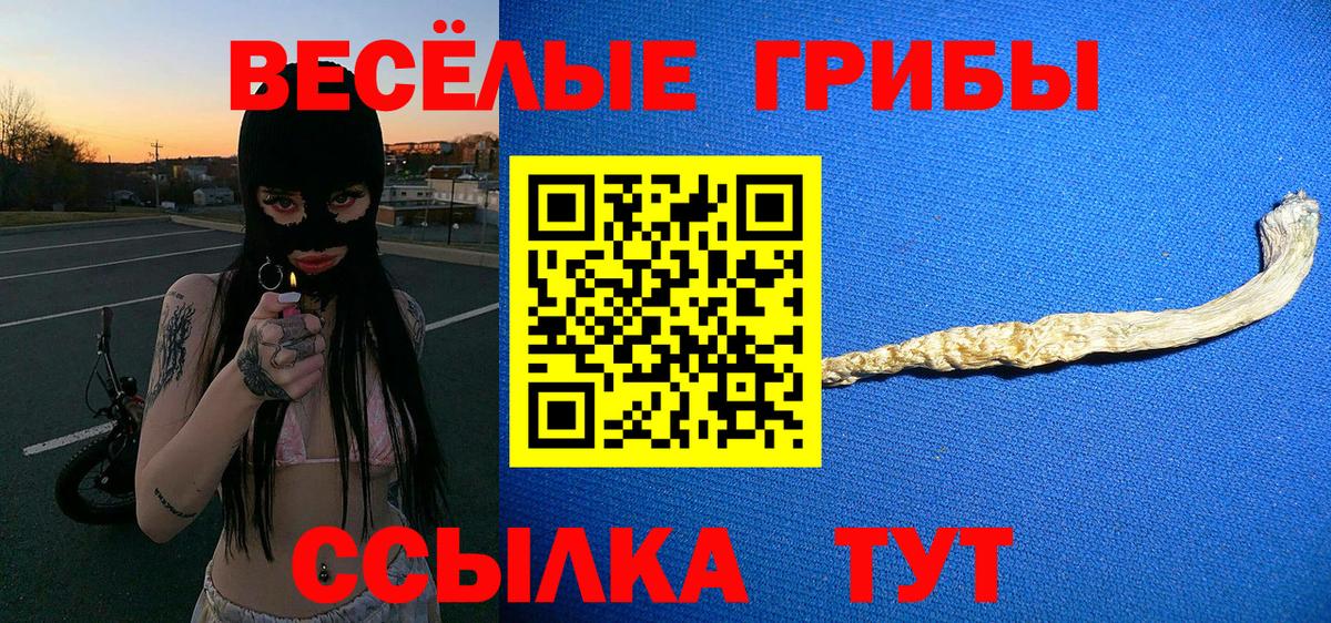 Псилоцибиновые грибы мицелий Железноводск