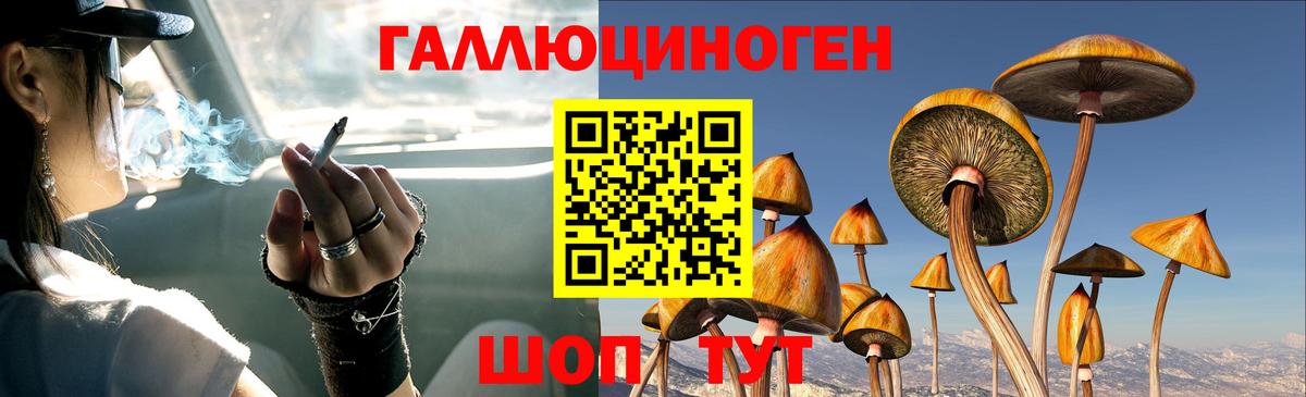 магазин    Галлюциногенные грибы мухоморы  Псилоцибиновые грибы прущие грибы  Вход с VPN  Железноводск 